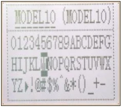 RC4GSのモデル名入力画面。MODEL10と、数字・英字・記号の選択欄が表示されている。