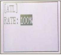 RC4GSのATL画面。RATEの100%が選択されている。