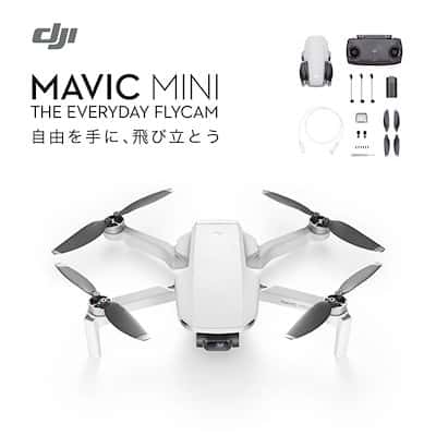 200g未満 新品未開封DJI Mini 2 Fly More Combo | angeloawards.com